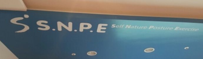 snpe.png